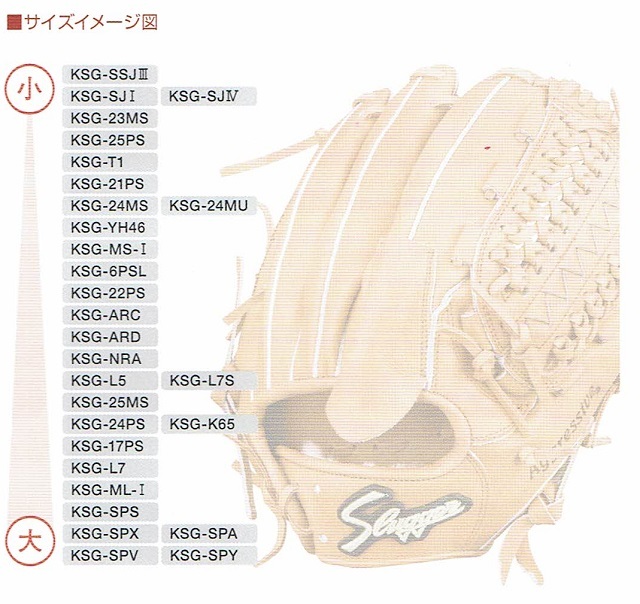 サイズ表